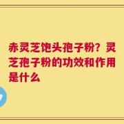 赤灵芝饱头孢子粉？灵芝孢子粉的功效和作用是什么