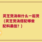灵芝煲汤和什么一起煲 (灵芝煲汤搭配哪些配料最佳？)