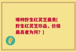 哪种野生红灵芝最贵(野生红灵芝珍品，价格最高者为何？)