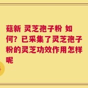 菇新 灵芝孢子粉 如何？已采集了灵芝孢子粉的灵芝功效作用怎样呢