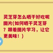 灵芝芽怎么晒干好吃呢图片(如何晒干灵芝芽？跟着图片学习，让它更美味！)