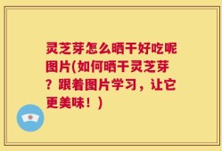 灵芝芽怎么晒干好吃呢图片(如何晒干灵芝芽？跟着图片学习，让它更美味！)