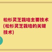 松杉灵芝栽培主要技术(松杉灵芝栽培的关键技术)
