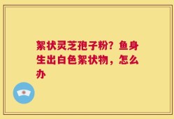 絮状灵芝孢子粉？鱼身生出白色絮状物，怎么办