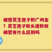 破壁灵芝孢子粉广州金？灵芝孢子粉头道粉和破壁有什么区别吗