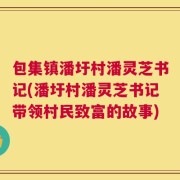 包集镇潘圩村潘灵芝书记(潘圩村潘灵芝书记带领村民致富的故事)