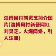 淄博周村刘灵芝简介图片(淄博周村新晋网红刘灵芝，火爆网络，引人注目)