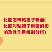 化肥怎样粘孢子粉菌(化肥对粘孢子粉菌的影响及其作用机制分析)