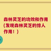 森林灵芝的功效和作用(发现森林灵芝的惊人作用！)