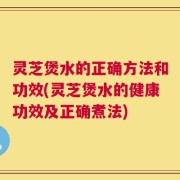 灵芝煲水的正确方法和功效(灵芝煲水的健康功效及正确煮法)