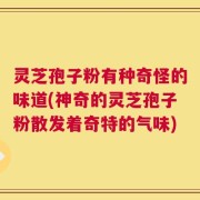 灵芝孢子粉有种奇怪的味道(神奇的灵芝孢子粉散发着奇特的气味)