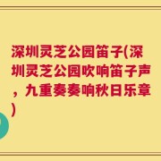 深圳灵芝公园笛子(深圳灵芝公园吹响笛子声，九重奏奏响秋日乐章)