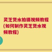 灵芝煲水拍摄视频教程(如何制作灵芝煲水视频教程)