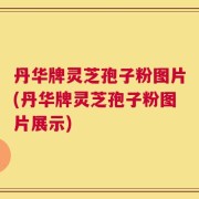 丹华牌灵芝孢子粉图片(丹华牌灵芝孢子粉图片展示)