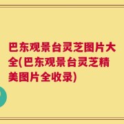巴东观景台灵芝图片大全(巴东观景台灵芝精美图片全收录)
