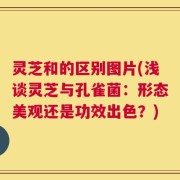 灵芝和的区别图片(浅谈灵芝与孔雀菌：形态美观还是功效出色？)