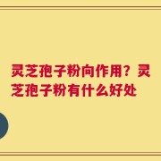灵芝孢子粉向作用？灵芝孢子粉有什么好处