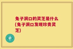 兔子洞口的灵芝是什么(兔子洞口发现珍贵灵芝)