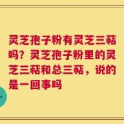 灵芝孢子粉有灵芝三萜吗？灵芝孢子粉里的灵芝三萜和总三萜，说的是一回事吗