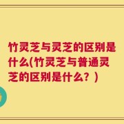竹灵芝与灵芝的区别是什么(竹灵芝与普通灵芝的区别是什么？)