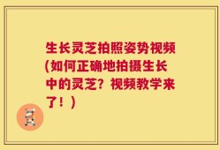 生长灵芝拍照姿势视频(如何正确地拍摄生长中的灵芝？视频教学来了！)
