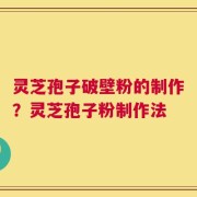 灵芝孢子破壁粉的制作？灵芝孢子粉制作法