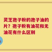 灵芝孢子粉的孢子油的片？孢子粉有油花和无油花有什么区别