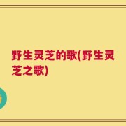 野生灵芝的歌(野生灵芝之歌)