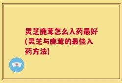 灵芝鹿茸怎么入药最好(灵芝与鹿茸的最佳入药方法)