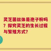 灵芝菌丝体是孢子粉吗？探究灵芝的生长过程与繁殖方式？
