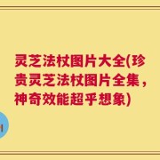 灵芝法杖图片大全(珍贵灵芝法杖图片全集，神奇效能超乎想象)