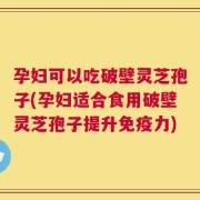 孕妇可以吃破壁灵芝孢子(孕妇适合食用破壁灵芝孢子提升免疫力)