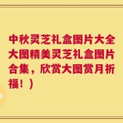 中秋灵芝礼盒图片大全大图精美灵芝礼盒图片合集，欣赏大图赏月祈福！)