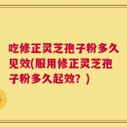 吃修正灵芝孢子粉多久见效(服用修正灵芝孢子粉多久起效？)