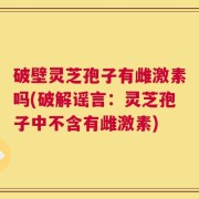 破壁灵芝孢子有雌激素吗(破解谣言：灵芝孢子中不含有雌激素)