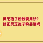 灵芝孢子粉胶囊用法？修正灵芝孢子粉靠谱吗