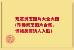 观赏灵芝图片大全大图(珍稀灵芝图片合集，惊艳美丽诱人入胜)