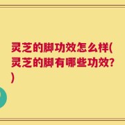 灵芝的脚功效怎么样(灵芝的脚有哪些功效？)