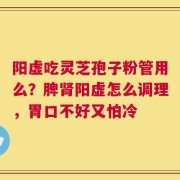 阳虚吃灵芝孢子粉管用么？脾肾阳虚怎么调理，胃口不好又怕冷