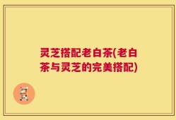 灵芝搭配老白茶(老白茶与灵芝的完美搭配)