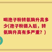 喝孢子粉转氨酶升高多少(孢子粉摄入后，转氨酶升高有多严重？)