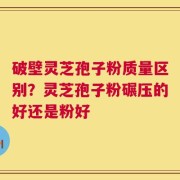 破壁灵芝孢子粉质量区别？灵芝孢子粉碾压的好还是粉好