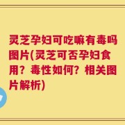 灵芝孕妇可吃嘛有毒吗图片(灵芝可否孕妇食用？毒性如何？相关图片解析)