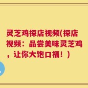 灵芝鸡探店视频(探店视频：品尝美味灵芝鸡，让你大饱口福！)