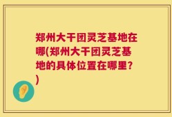 郑州大干团灵芝基地在哪(郑州大干团灵芝基地的具体位置在哪里？)