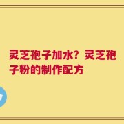 灵芝孢子加水？灵芝孢子粉的制作配方