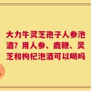 大力牛灵芝孢子人参泡酒？用人参、鹿鞭、灵芝和枸杞泡酒可以喝吗