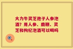 大力牛灵芝孢子人参泡酒？用人参、鹿鞭、灵芝和枸杞泡酒可以喝吗