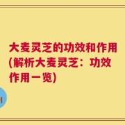 大麦灵芝的功效和作用(解析大麦灵芝：功效作用一览)