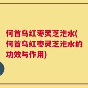 何首乌红枣灵芝泡水(何首乌红枣灵芝泡水的功效与作用)